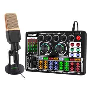 F999 + M998 Sound Card Microphone Set